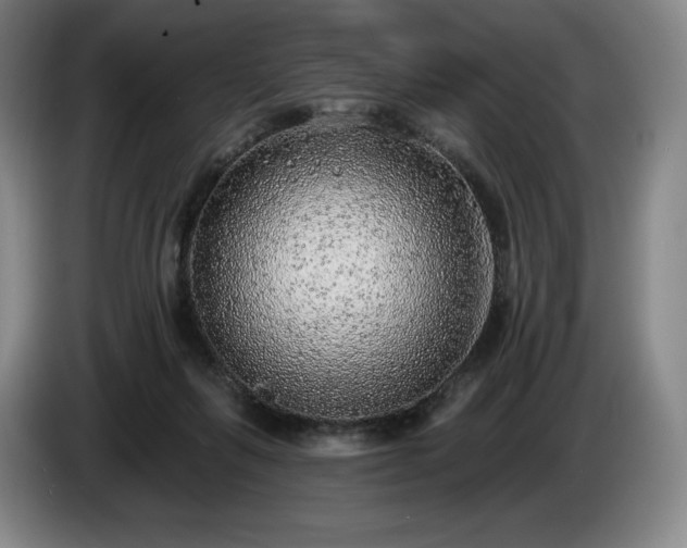 X0000085000263200703121506