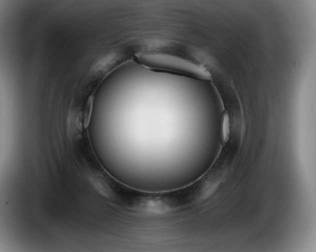 X0000085000264200703121506