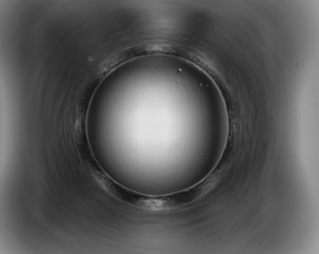 X0000085000265200703121506