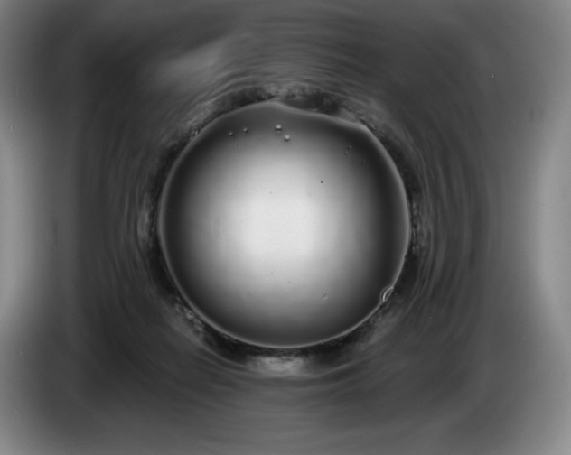 X0000085000266200703121506