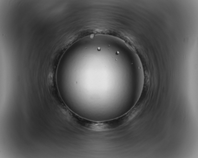 X0000085000269200703121506