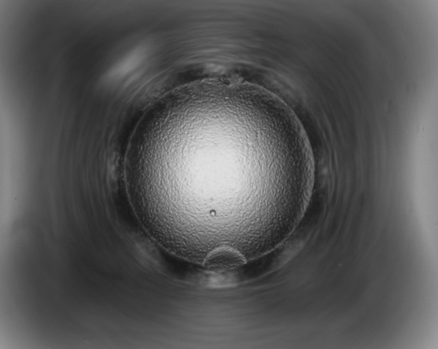 X0000085000275200703121507