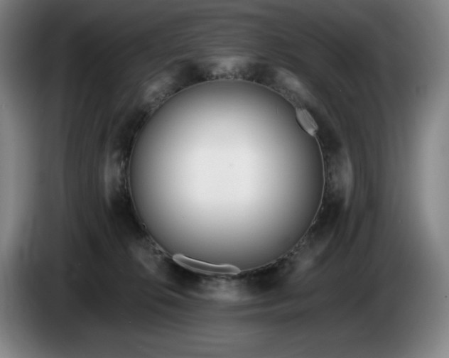 X0000085000276200703121507