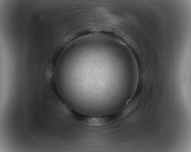 X0000085000277200703121507