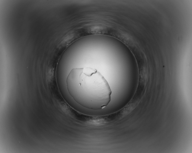 X0000085000278200703121507