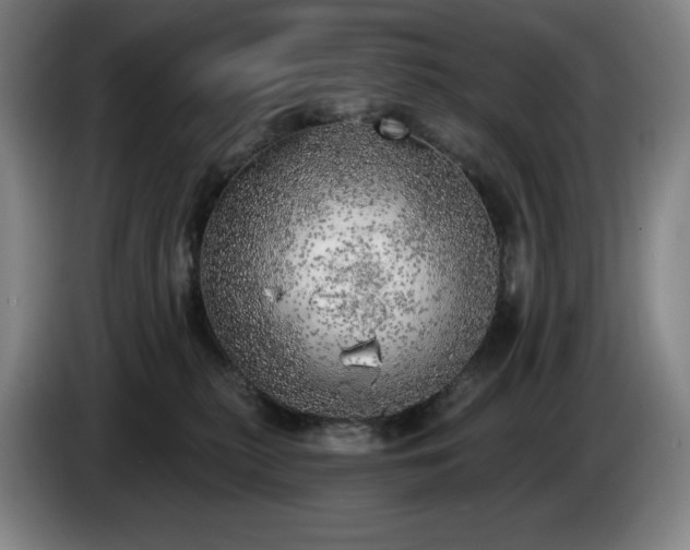 X0000085000279200703121507