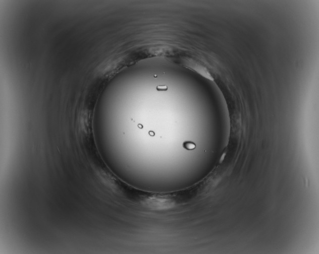 X0000085000280200703121507