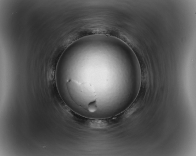 X0000085000281200703121507