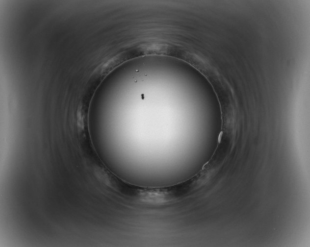 X0000085000282200703121507