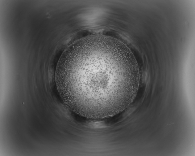 X0000085000283200703121507