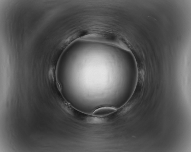 X0000085000286200703121507