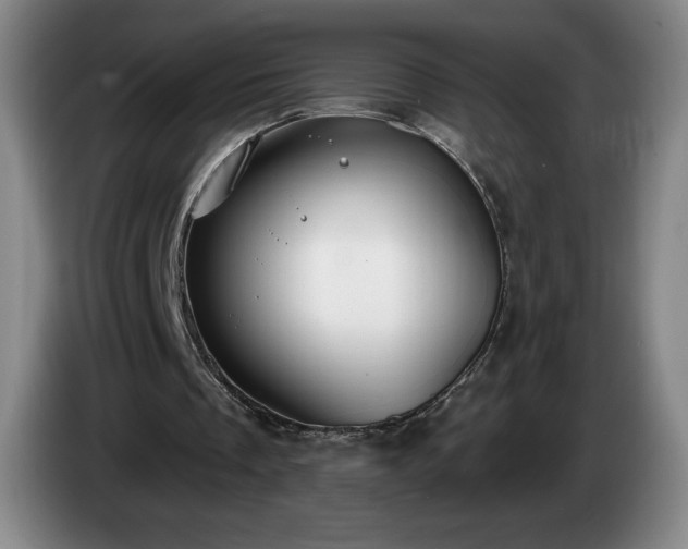 X0000085000289200703121506