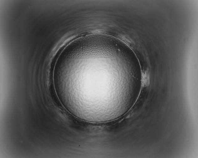 X0000085000291200703121506