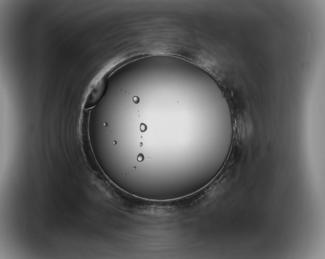 X0000085000292200703121506