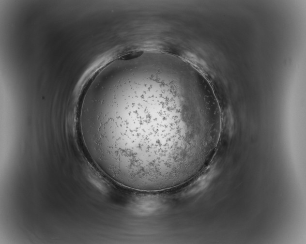 X0000085000293200703121506