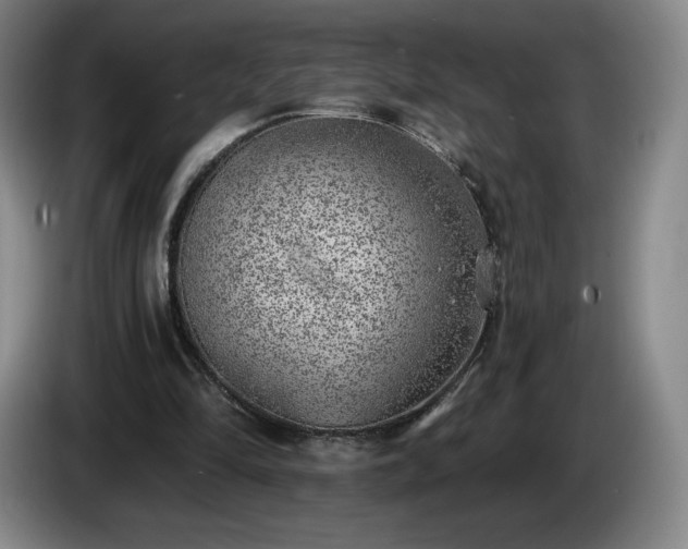 X0000085000294200703121506