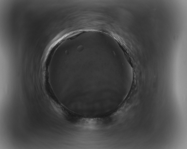 X0000085000295200703121506