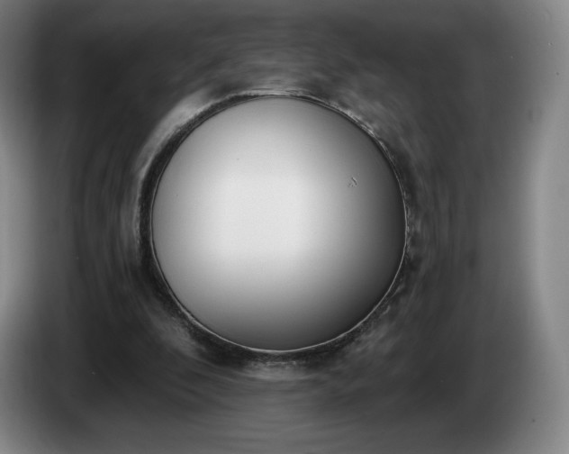 X0000085000296200703121506