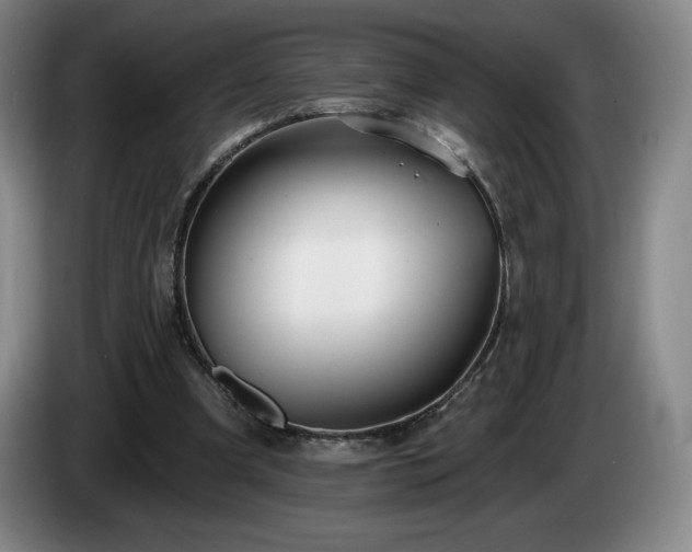 X0000085000297200703121506