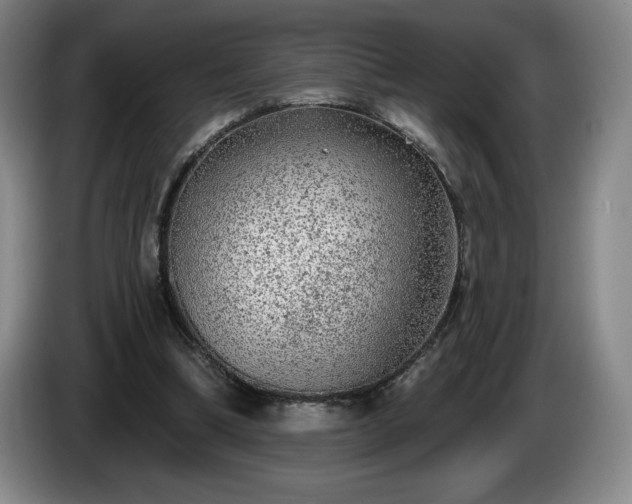 X0000085000298200703121506