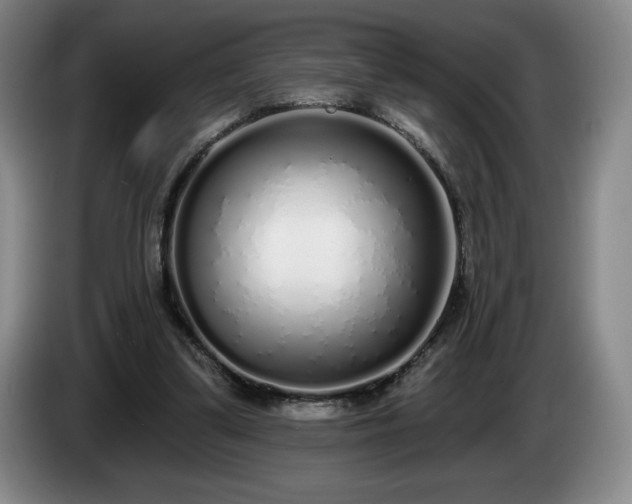 X0000085000299200703121506