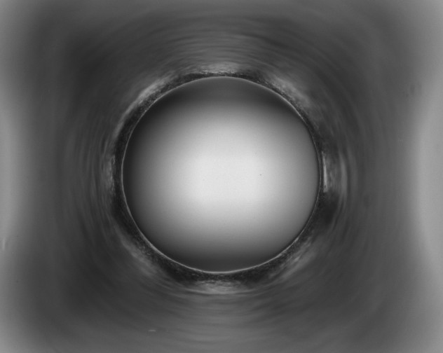 X0000085000300200703121506