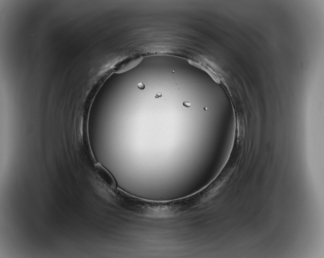 X0000085000301200703121506