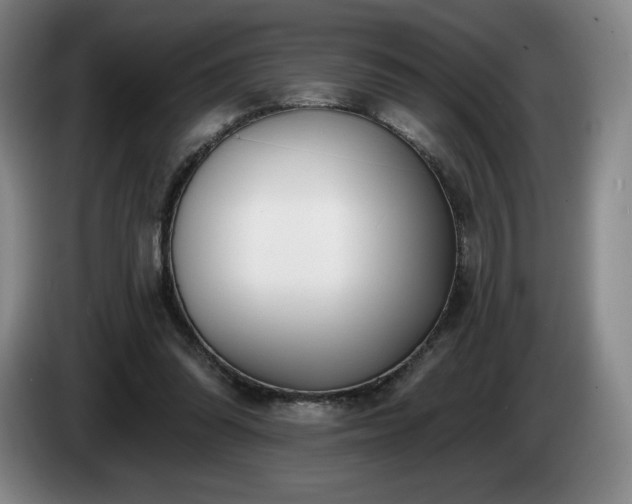 X0000085000302200703121506