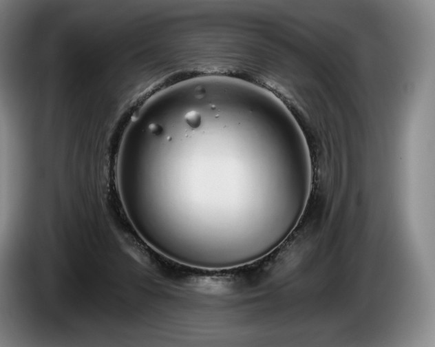 X0000085000303200703121506