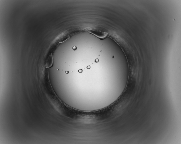 X0000085000304200703121506