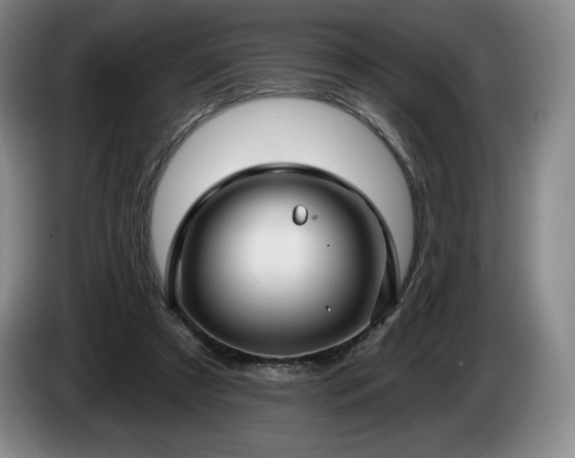 X0000085000305200703121506