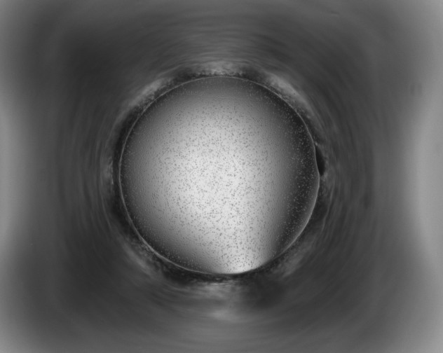 X0000085000306200703121506