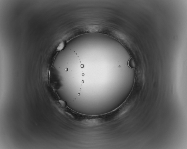 X0000085000307200703121506