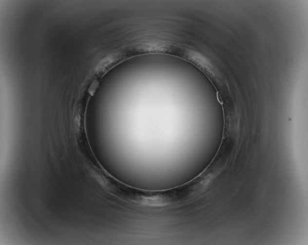 X0000085000309200703121506