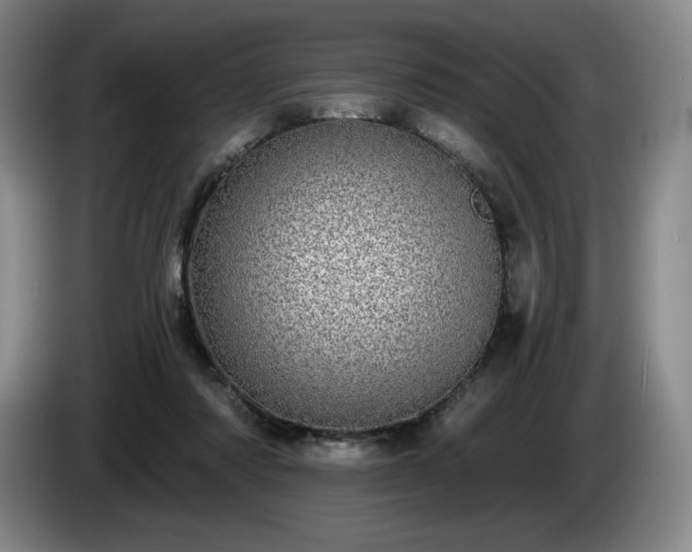 X0000085000310200703121506