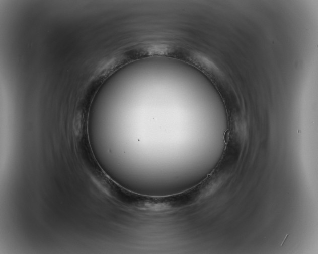 X0000085000311200703121506