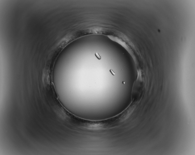 X0000085000313200703121506