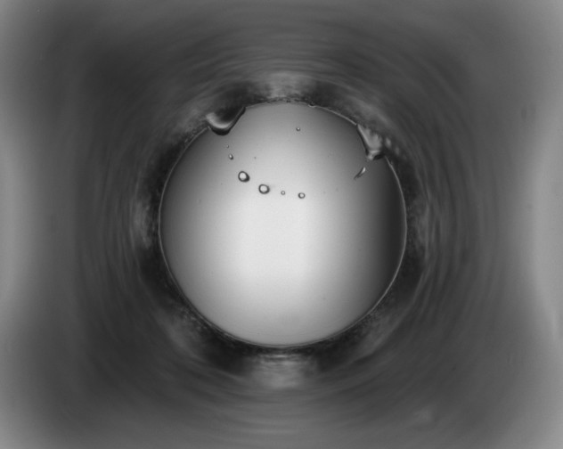 X0000085000316200703121506