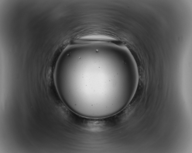 X0000085000319200703121506