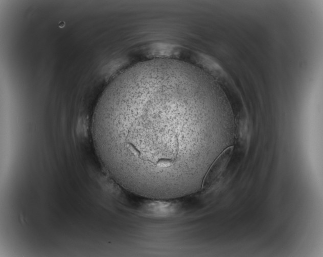 X0000085000326200703121506