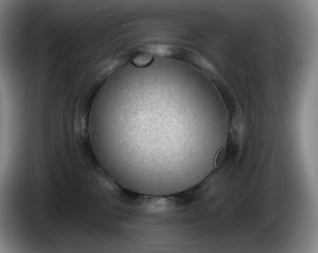 X0000085000330200703121506