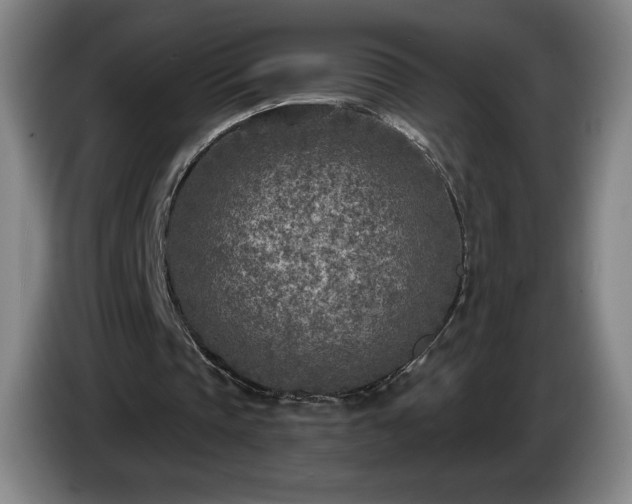 X0000085000337200703121505