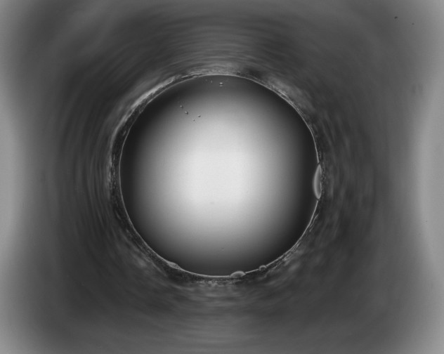 X0000085000338200703121505