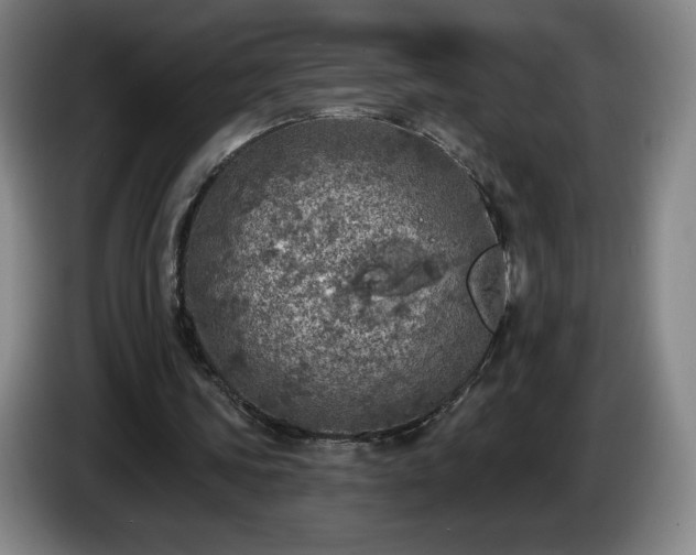 X0000085000339200703121505