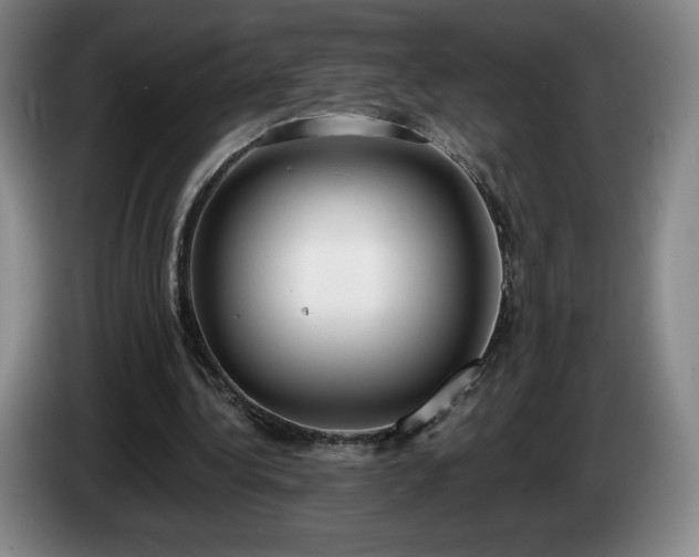 X0000085000340200703121505