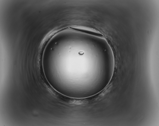 X0000085000341200703121505