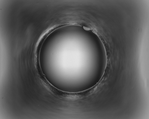 X0000085000342200703121505