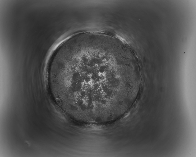 X0000085000343200703121505