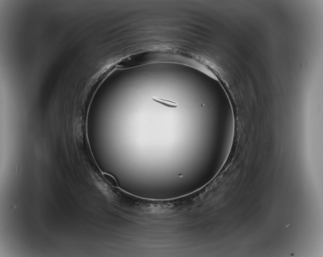 X0000085000345200703121505