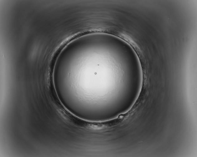 X0000085000346200703121505